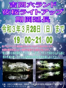 夜桜ライトアップ
