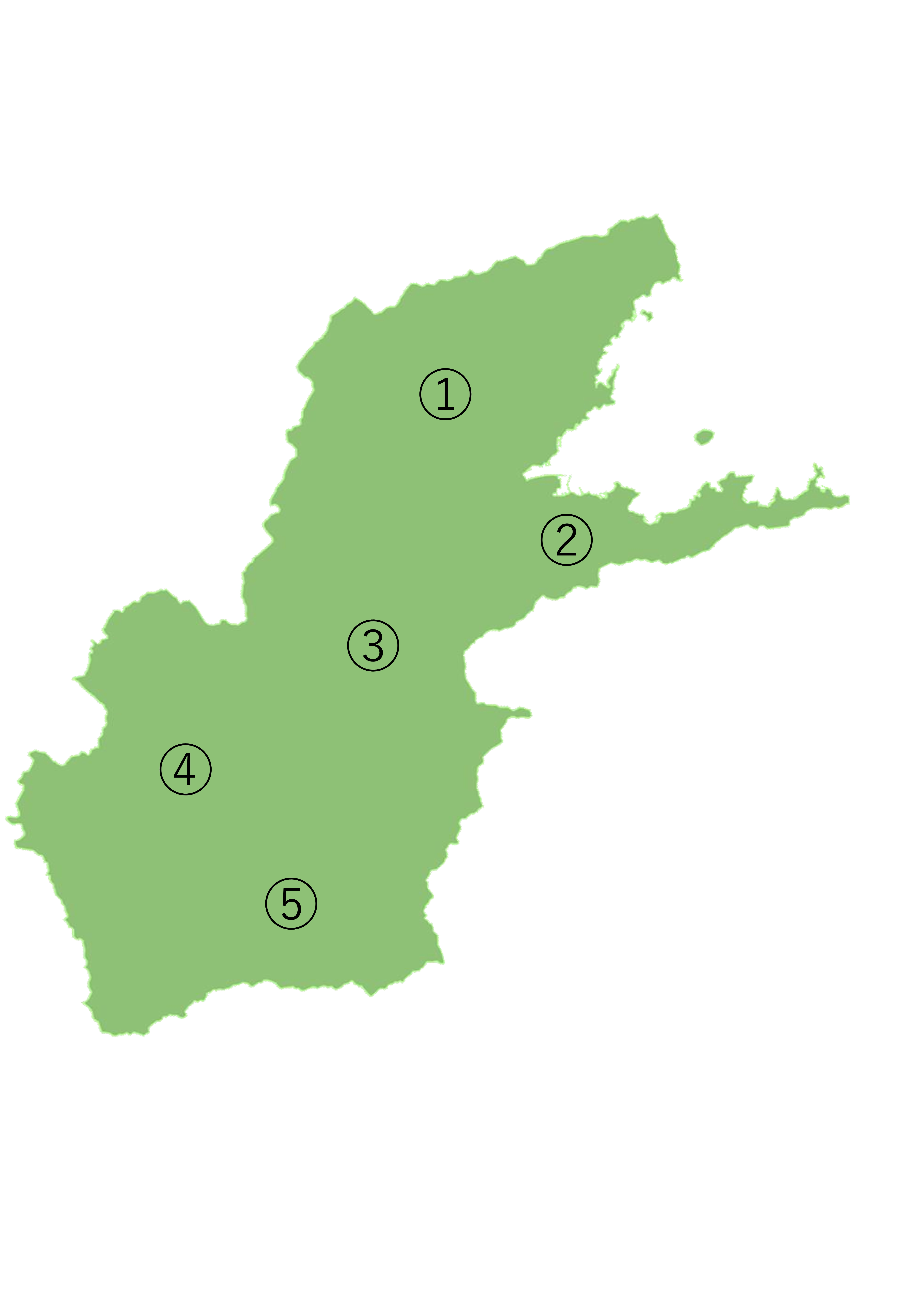 ページ内表示用 ページ内表示用