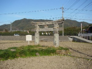 深田の鳥居の写真