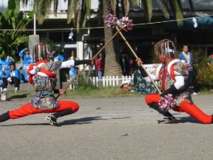 風流杖踊り 風流杖踊りの写真