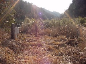三郡境の石柱 三郡境の石柱の写真