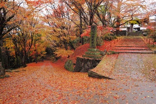 普現寺もみじの写真