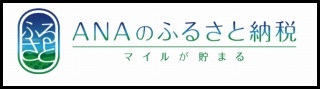 ANAのふるさと納税