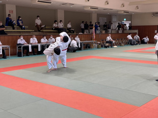 柔道 柔道