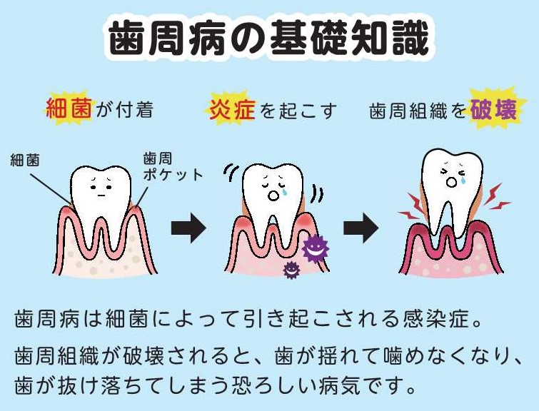 a97c5dc07379b663a1798ae42280b7