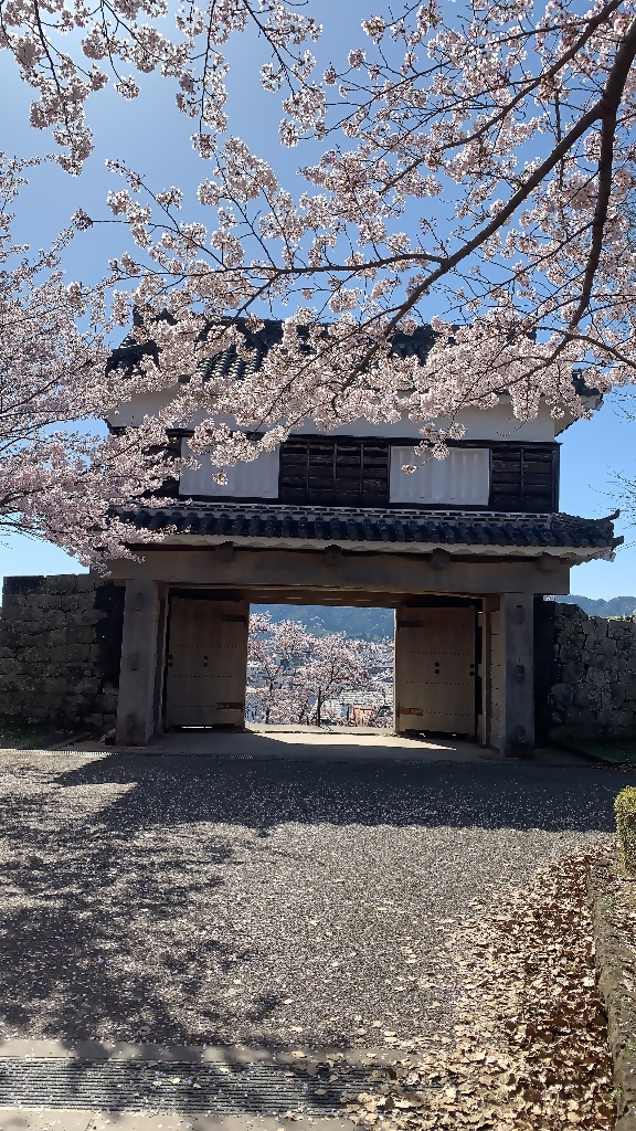 入選⑫