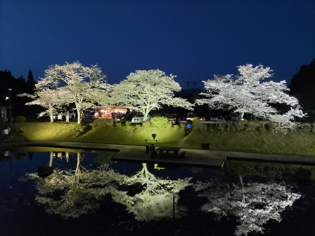上位入選①