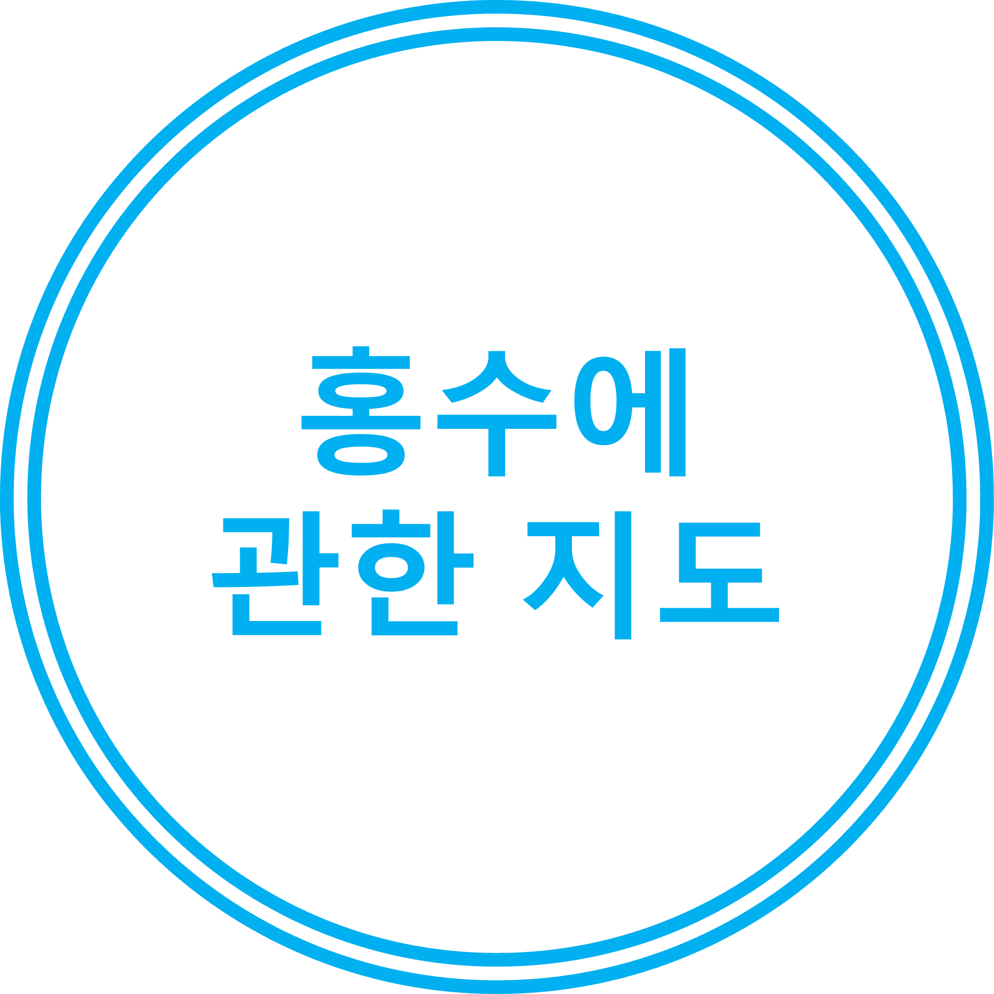 홍수에 관한 지도